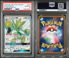 2026年最新】ハッサムpsa10の人気アイテム - メルカリ