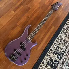 2026年最新】fernandes frbの人気アイテム - メルカリ