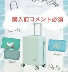 2026年最新】ちはる アリエルの人気アイテム - メルカリ