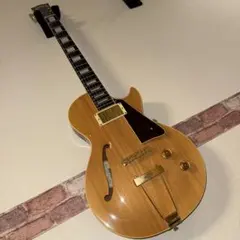 2026年最新】Archtop tribute atの人気アイテム - メルカリ