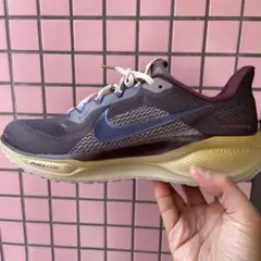 2026年最新】ペガサス プレミアム 27.5の人気アイテム - メルカリ