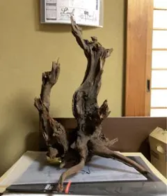 2026年最新】ADA 流木、の人気アイテム - メルカリ