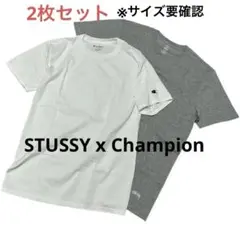 2026年最新】stussy champion tシャツの人気アイテム - メルカリ