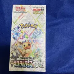 2026年最新】テラスタルフェスex boxの人気アイテム - メルカリ