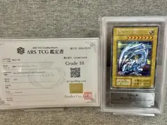 m76019182620_1.jpg?1771600906