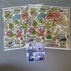 2026年最新】GreeN assassin dollar レコードの人気アイテム - メルカリ