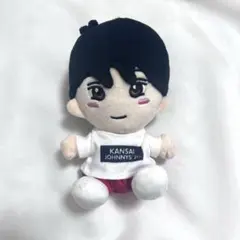 2026年最新】末澤誠也ちびぬいの人気アイテム - メルカリ