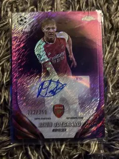 2026年最新】ウーデゴール サインカードの人気アイテム - メルカリ