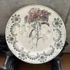 2026年最新】ショワジールロワ 切り花の人気アイテム - メルカリ