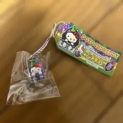 2026年最新】山梨キティの人気アイテム - メルカリ