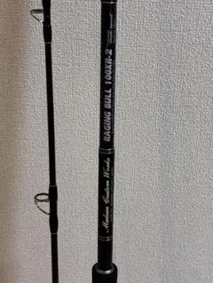 2026年最新】レイジングブル 100XR 2の人気アイテム - メルカリ