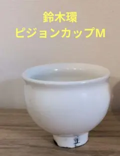 2026年最新】鈴木環 ピジョンカップの人気アイテム - メルカリ