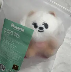 2026年最新】プルバトゥ バムグッ 公式の人気アイテム - メルカリ