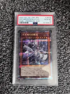 2026年最新】迷宮の白銀姫 プリズマの人気アイテム - メルカリ