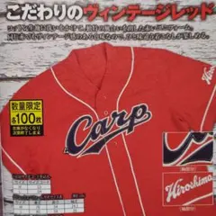 2026年最新】ビンテージカープの人気アイテム - メルカリ