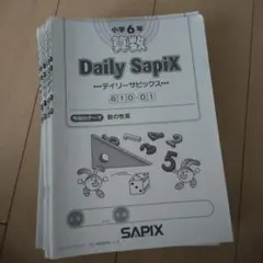 2026年最新】デイリーサピックスの人気アイテム - メルカリ