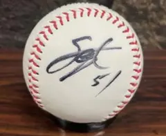 2026年最新】上林 サインボールの人気アイテム - メルカリ