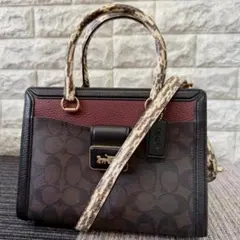 2026年最新】グレース ショルダー バッグ コーチの人気アイテム - メルカリ