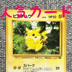 2026年最新】ジャングルピカチュウの人気アイテム - メルカリ