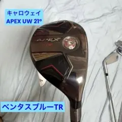 2026年最新】apex uw ベンタスブルーの人気アイテム - メルカリ