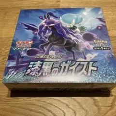 2026年最新】漆黒のガイスト box 未開封の人気アイテム - メルカリ