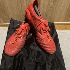 2026年最新】モレリアネオ3 レッドの人気アイテム - メルカリ