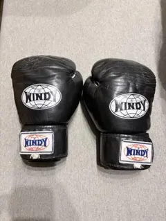 2026年最新】windy グローブ 8オンスの人気アイテム - メルカリ