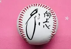 2026年最新】鳥谷 サインボールの人気アイテム - メルカリ