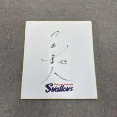 2026年最新】山田哲人 直筆サインの人気アイテム - メルカリ