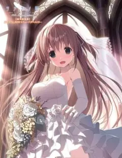 2026年最新】サクラノ詩 特典の人気アイテム - メルカリ