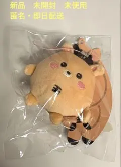 2026年最新】RIIZE ぬいぐるみ ソンチャンの人気アイテム - メルカリ