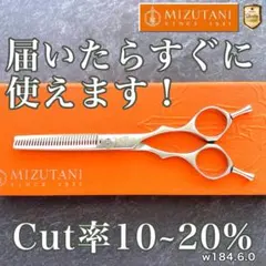 2026年最新】ミズタニシザーの人気アイテム - メルカリ