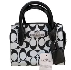 2026年最新】コーチタウンバケットの人気アイテム - メルカリ