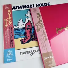 2026年最新】ネバーヤングビーチ cdの人気アイテム - メルカリ