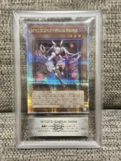 M∀LICE＜P＞White Rabbit 25th psa10 2026年最新】White Rabbit 25 psa10の人気アイテム - メルカリ