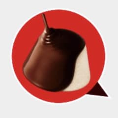 vallad studio × nubian 限定刺繍入りメッシュキャップ io