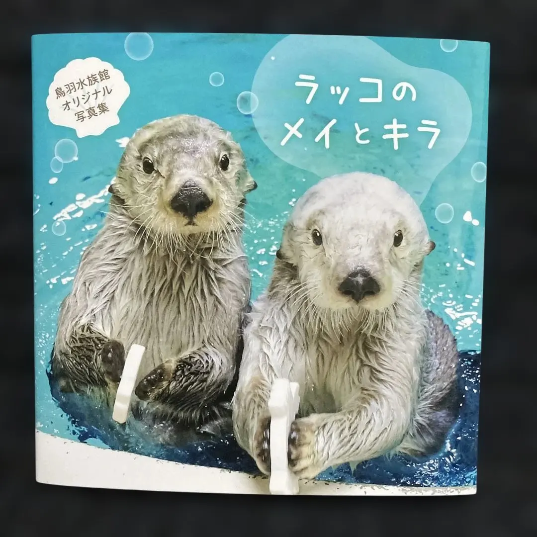 2026年最新】メイとキラ 写真集の人気アイテム - メルカリ