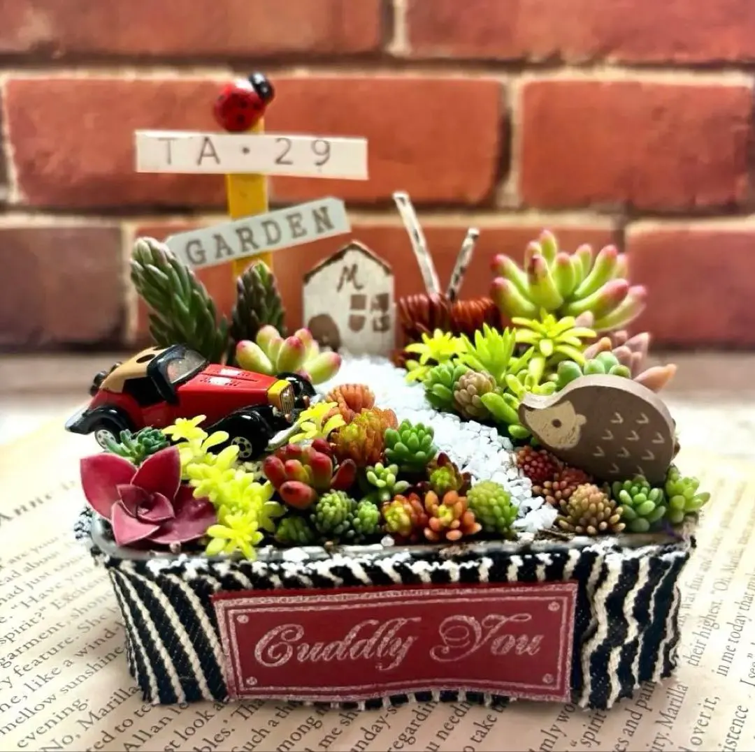 m19946600061_1.jpg?1771676859