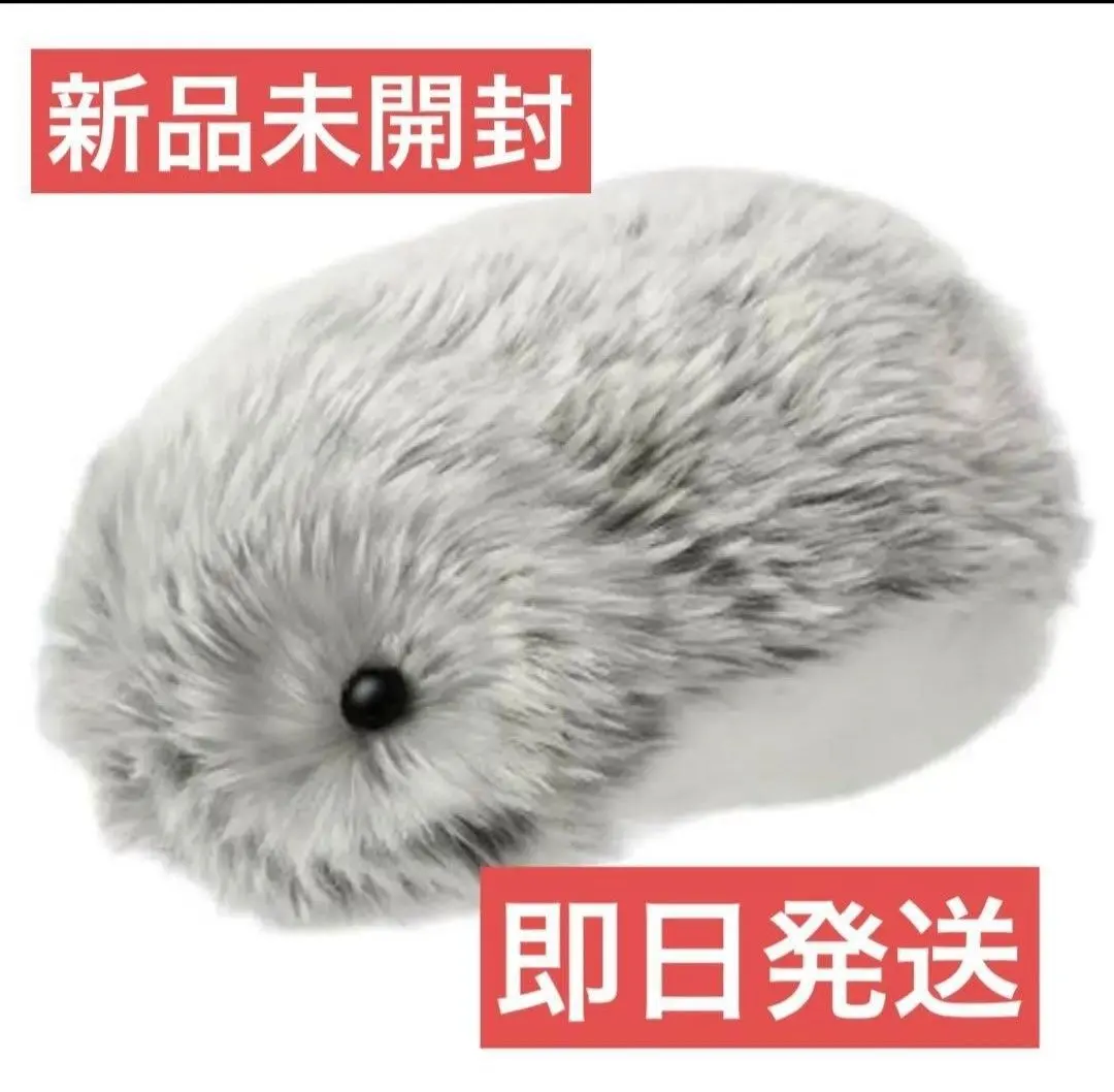 m20728780744_1.jpg?1766332037