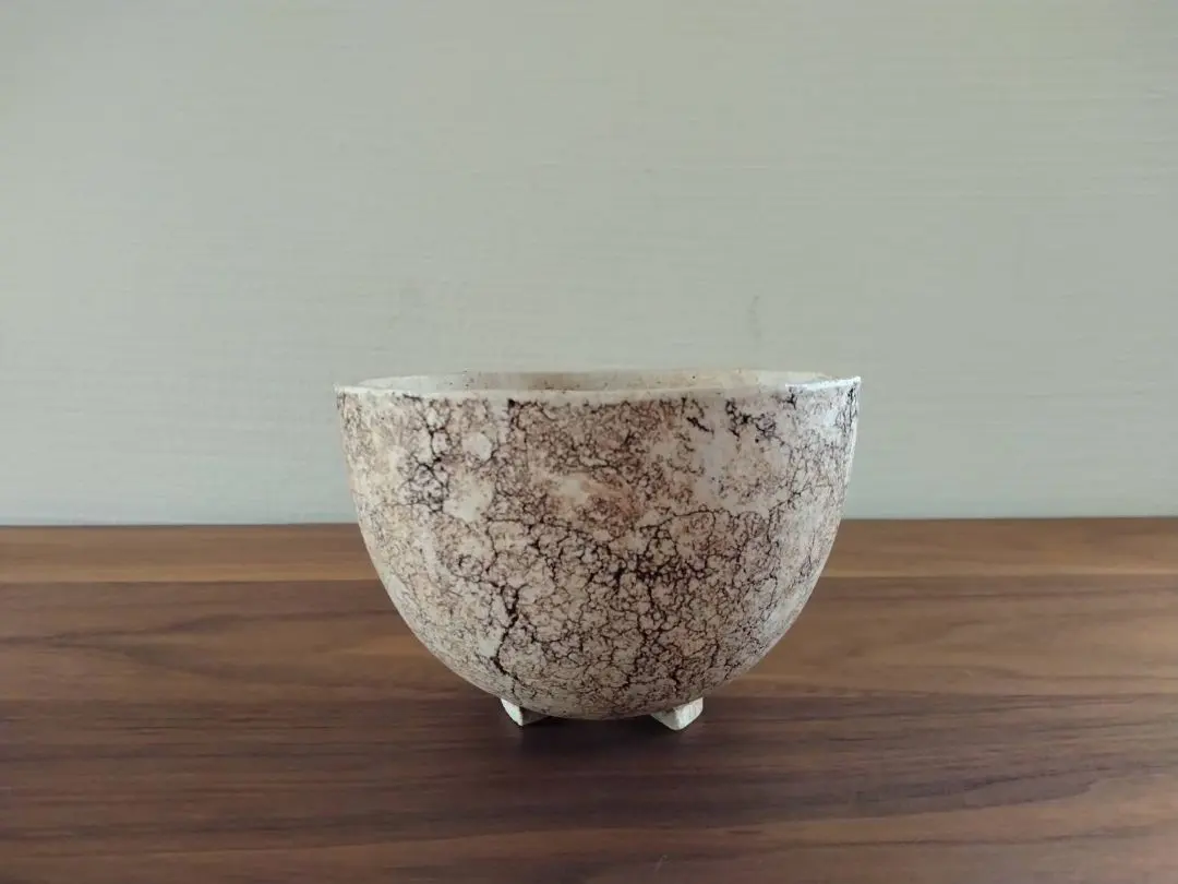 2026年最新】コネクト鉢の人気アイテム - メルカリ