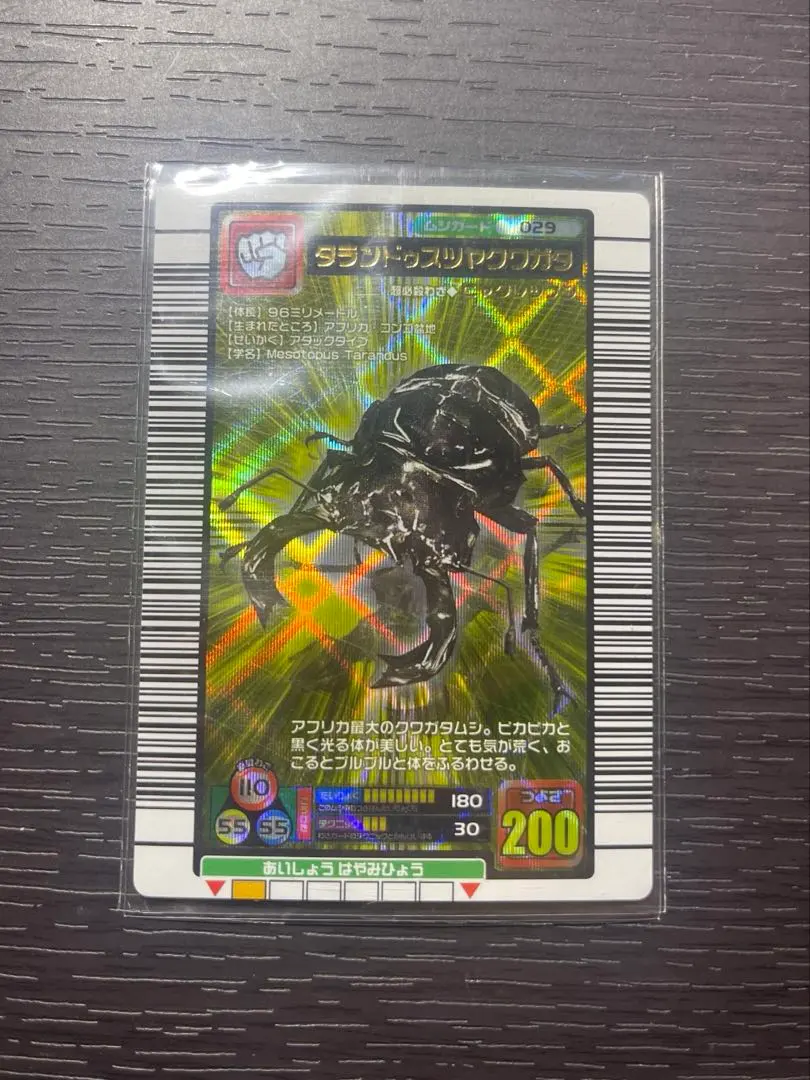 2026年最新】タランドゥスツヤクワガタ 2005の人気アイテム - メルカリ