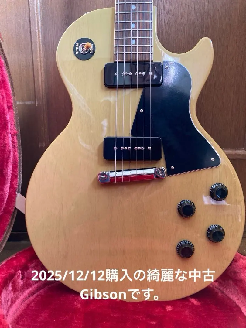 2026年最新】ギブソン GIBSON ハードケース レスポールスペシャルの