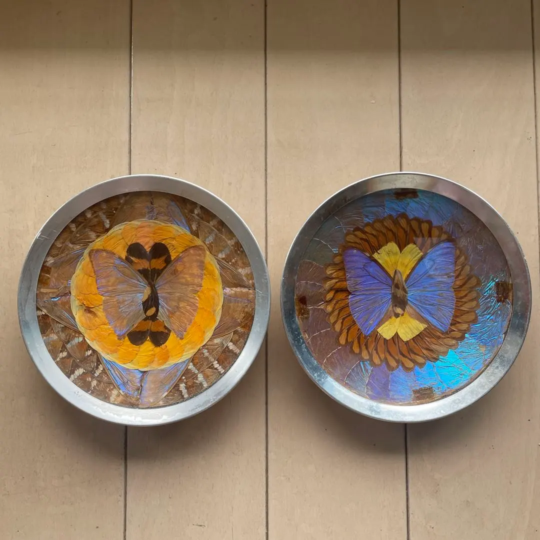 2026年最新】モルフォ蝶 皿の人気アイテム - メルカリ
