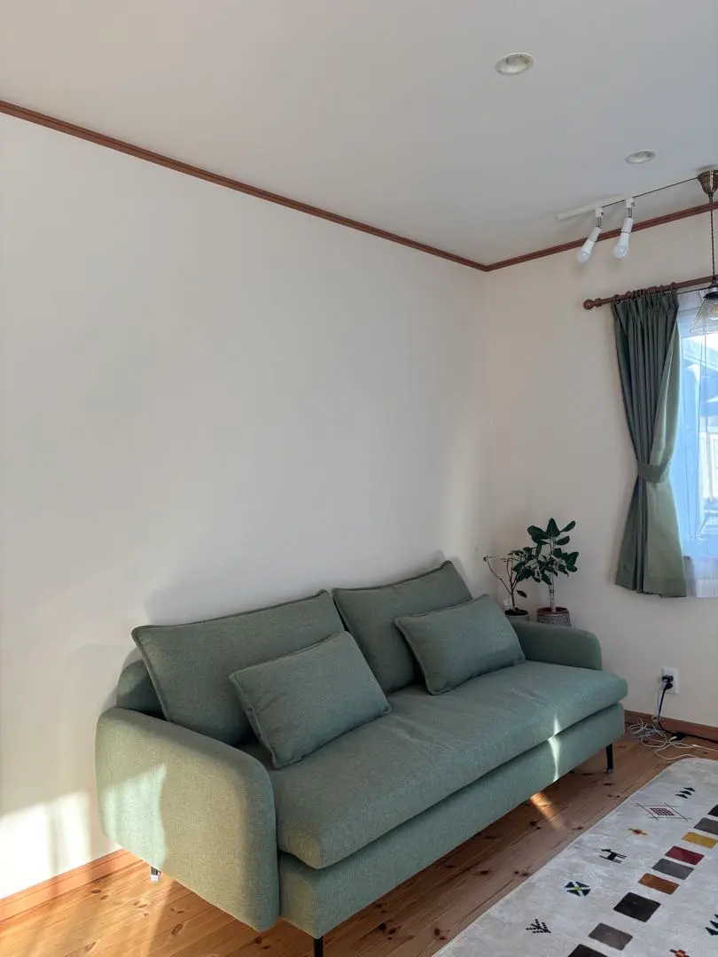 2026年最新】NITORI カラー：グリーン系 2人掛け・3人掛けソファの人気