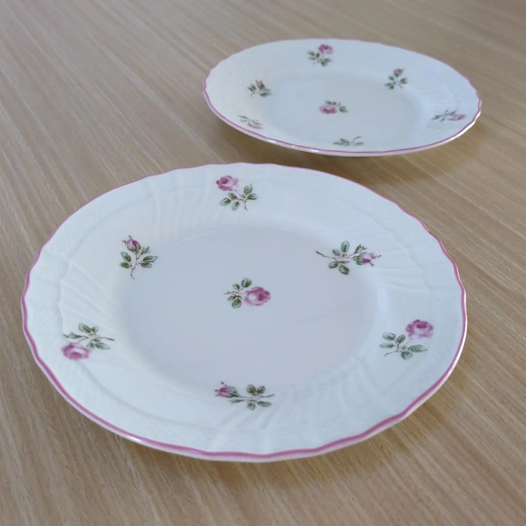 2026年最新】リチャードジノリ ロゼリーニ プレートの人気アイテム