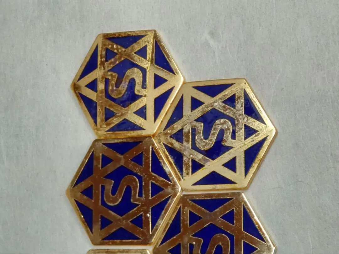 セリストン研究所パワープレート大直径約6cm 厚み 3mm ×27枚