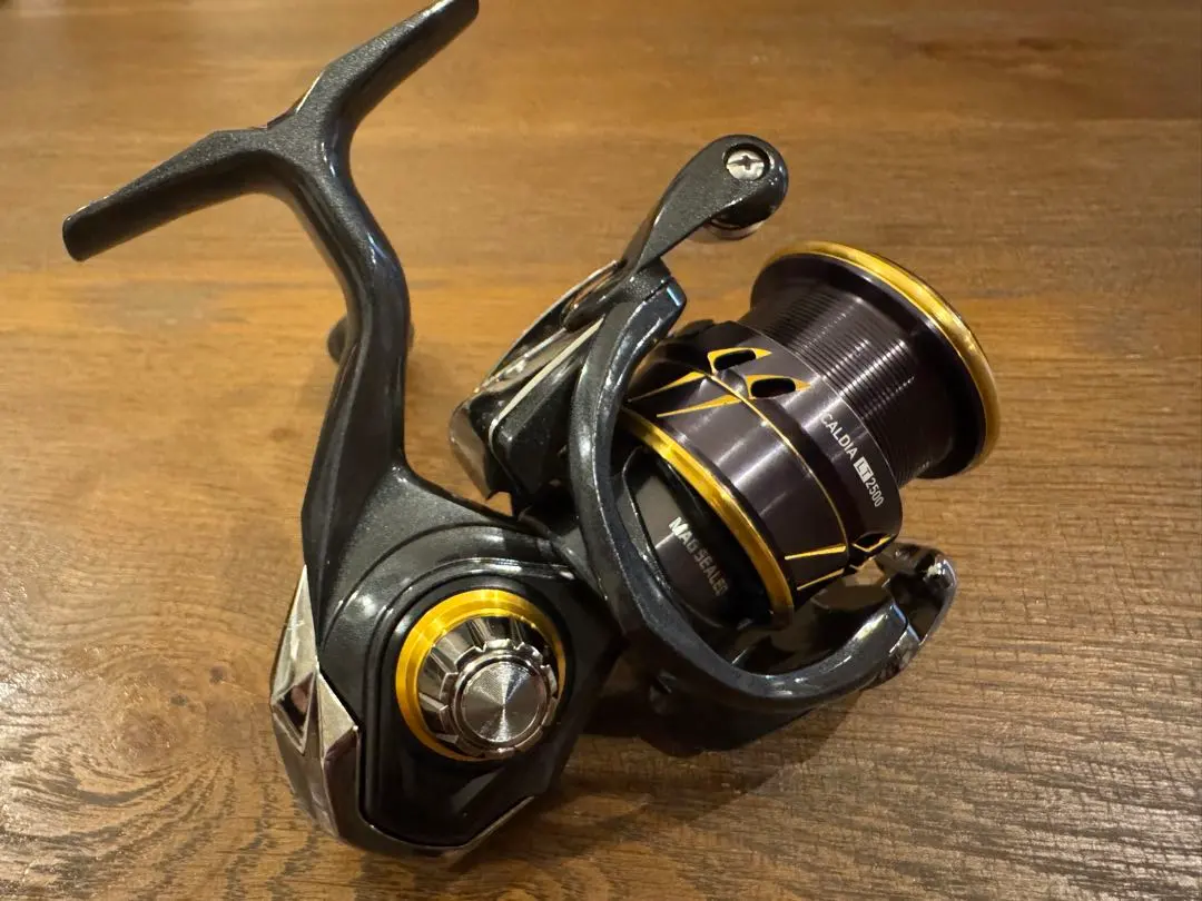 2026年最新】ダイワ 21カルディア lt2500s-xhの人気アイテム - メルカリ