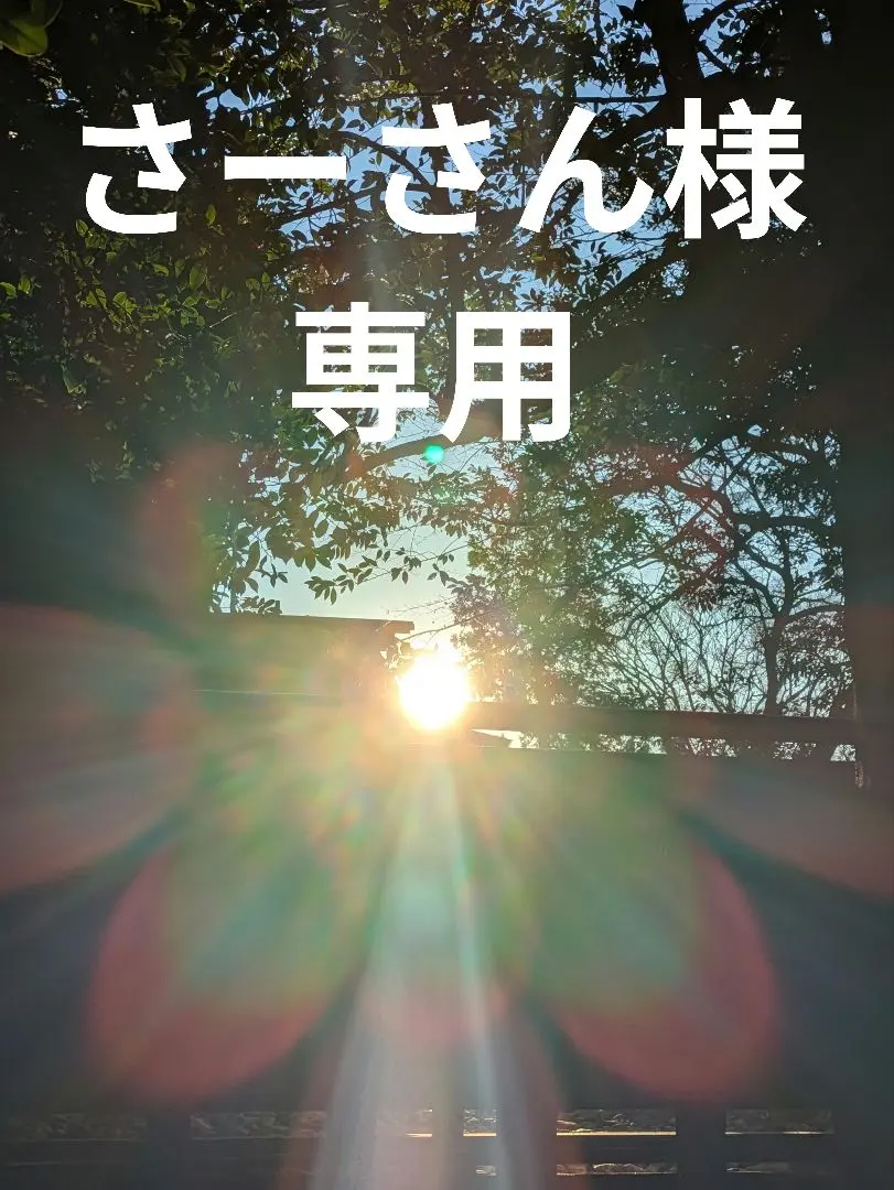 2026年最新】ブリジストン電動アシスト自転車フロンティアの人気