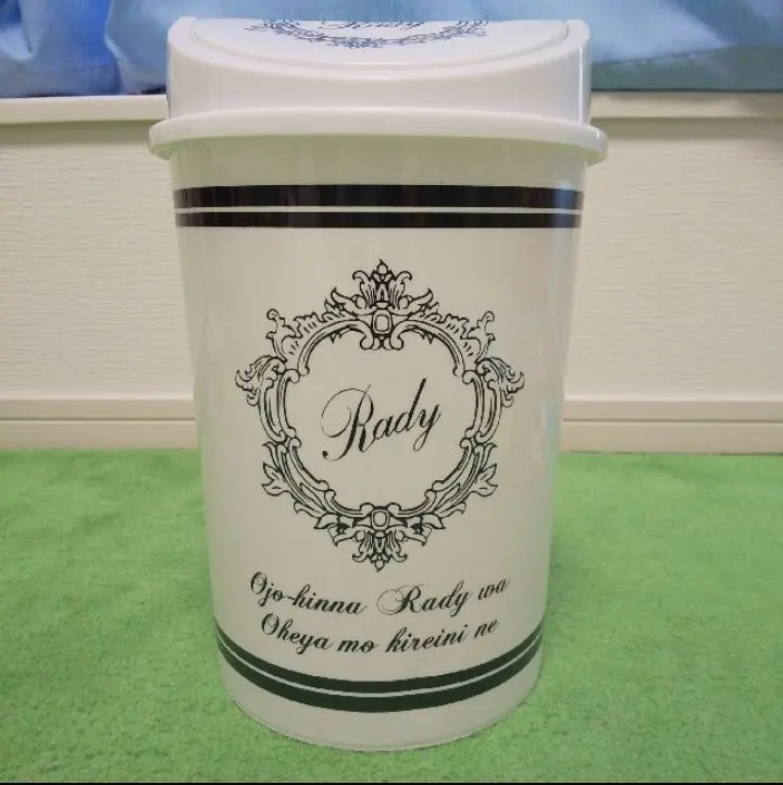 2026年最新】Rady ノベルティ ダストボックスの人気アイテム - メルカリ