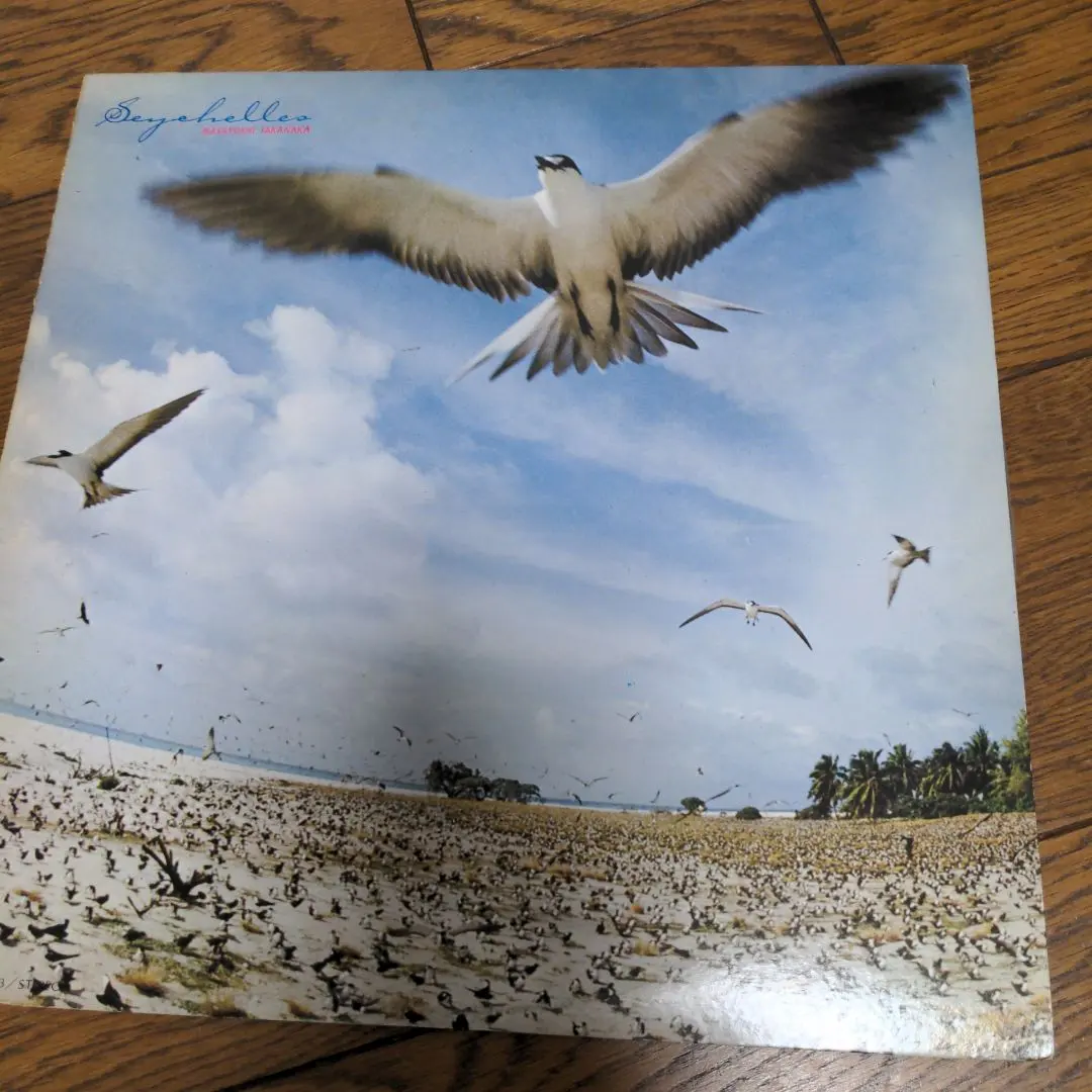 2026年最新】SEYCHELLES 高中正義の人気アイテム - メルカリ